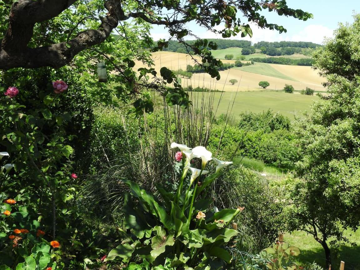 Bed and Breakfast La Dame Fines Puybegon Exterior foto